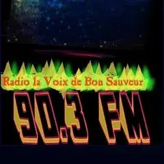 79099_Radio La Voix de Bon Sauveur.png